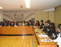 Volver a las Raíces