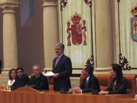 Pleno Constitución