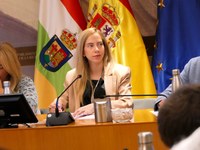Reunión de la Junta de Portavoces