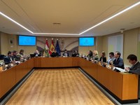 Comparecencia de Alfonso Domínguez