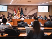 Comparecencia de Alfonso Domínguez 
