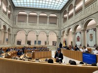 El Pleno aprueba el 43,84% de las propuestas de resolución presentadas