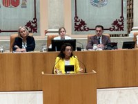 El Pleno designa a Mar Cotelo como senadora autonómica