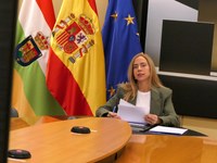 Fernández Cornago participa en la sesión del grupo de trabajo de la CALRE sobre 'Problemas de Zonas de Montaña e Interior'