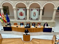 Gonzalo Capellán, durante su intervención