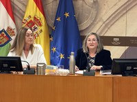 La Comisión que analiza la situación de la Cultura en La Rioja aborda el área de administración