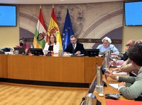 La Comisión que estudia la situación de la Cultura en La Rioja escucha a expertos en danza y música