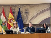 La Comisión que estudia la situación del sector de la Cultura en La Rioja continúa sus trabajos con la intervención del director general de CEDRO