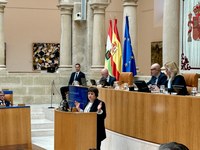 La portavoz del Grupo Parlamentario Podemos-Izquierda Unida, Henar Moreno, durante su intervención