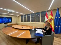 Fernández Cornago ha participado por videoconferencia en la asamblea plenaria de la CALRE