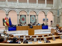 Pleno del Parlamento de La Rioja