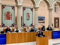 Pleno del Parlamento