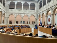Pleno del Parlamento