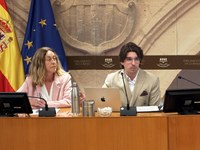 Mario Cornago interviene ante la Comisión que estudia la situación de la Cultura en La Rioja