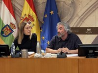 Prosiguen los trabajos de la Comisión de Estudio que analiza la situación del sector de la Cultura en La Rioja